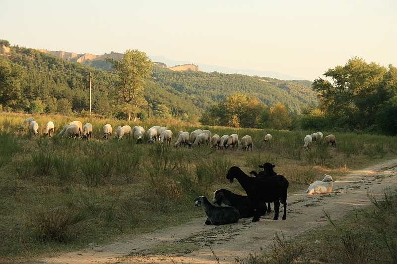 Bulgaria 2008 1056